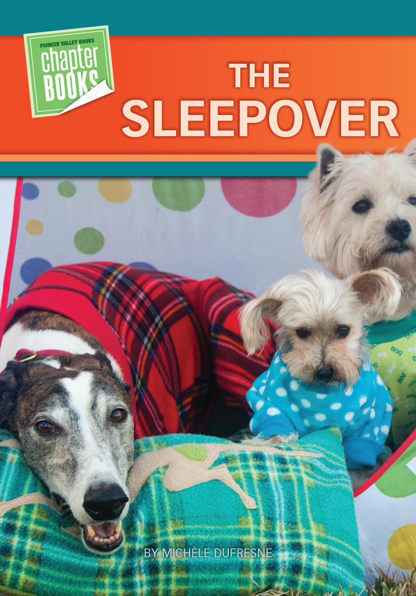 Sleepover さん専用 JD51.jpg?v=1540583349