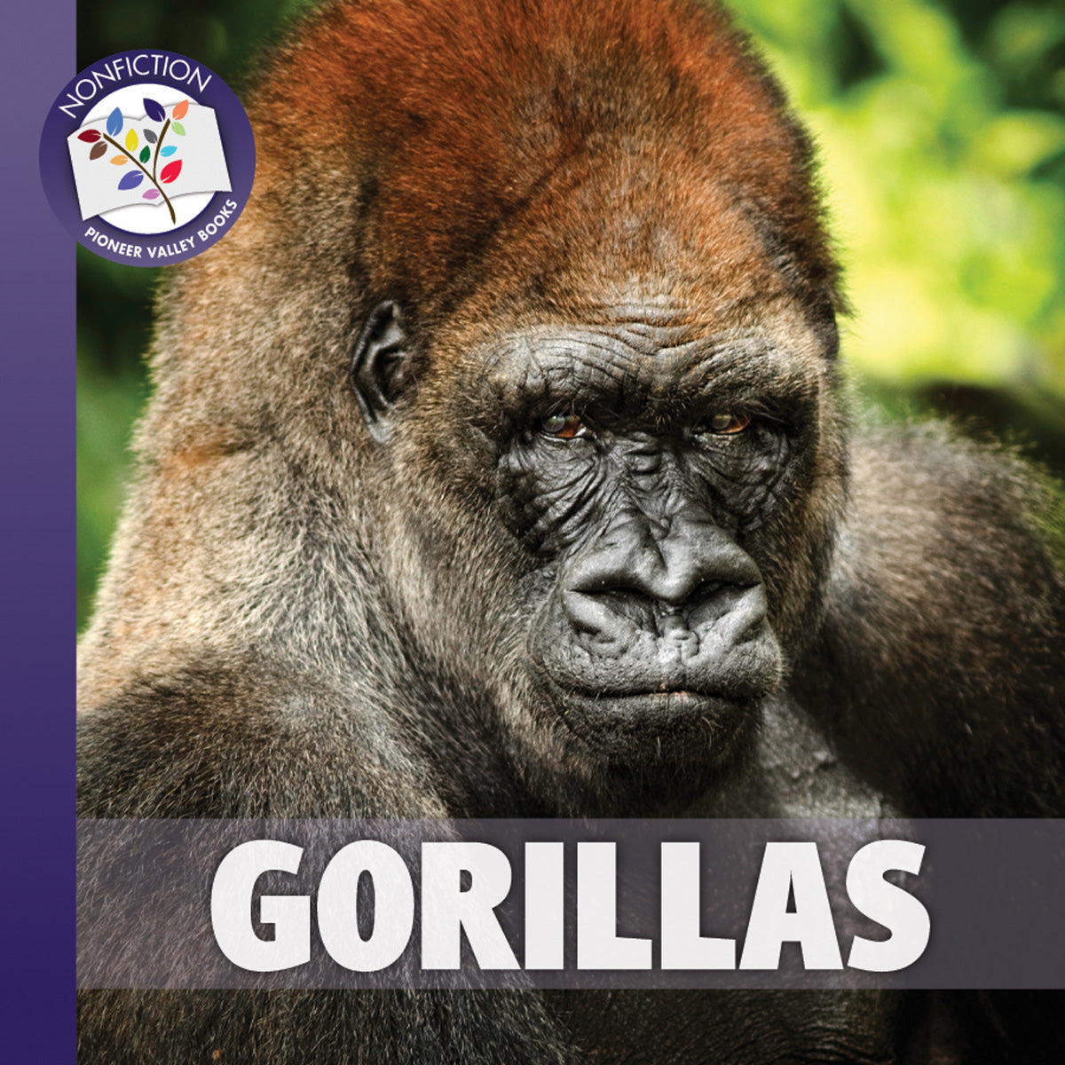 その他 Xlarge Gorillas are forever Xlarge XLARGE × Gorilla Nems – XLARGE