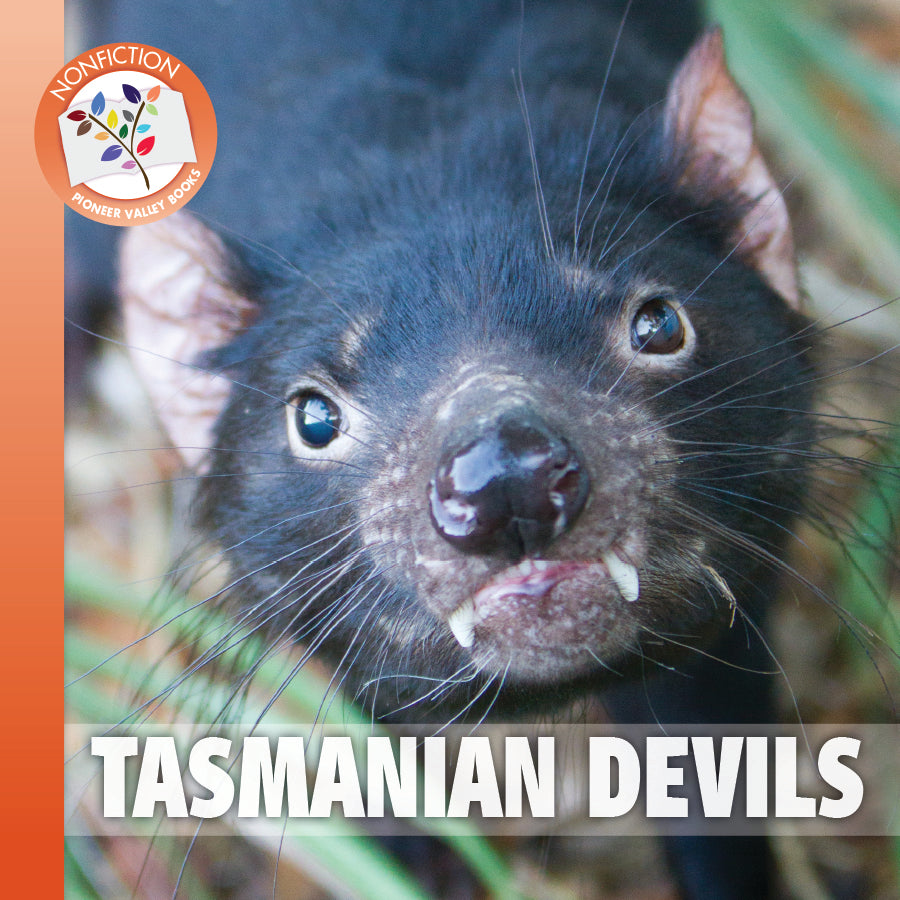 Tasmanian Devils – Pioneer Valley Books