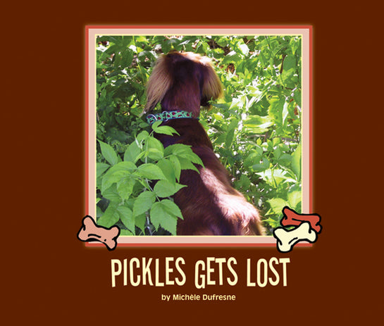 Pickles Gets Lost
