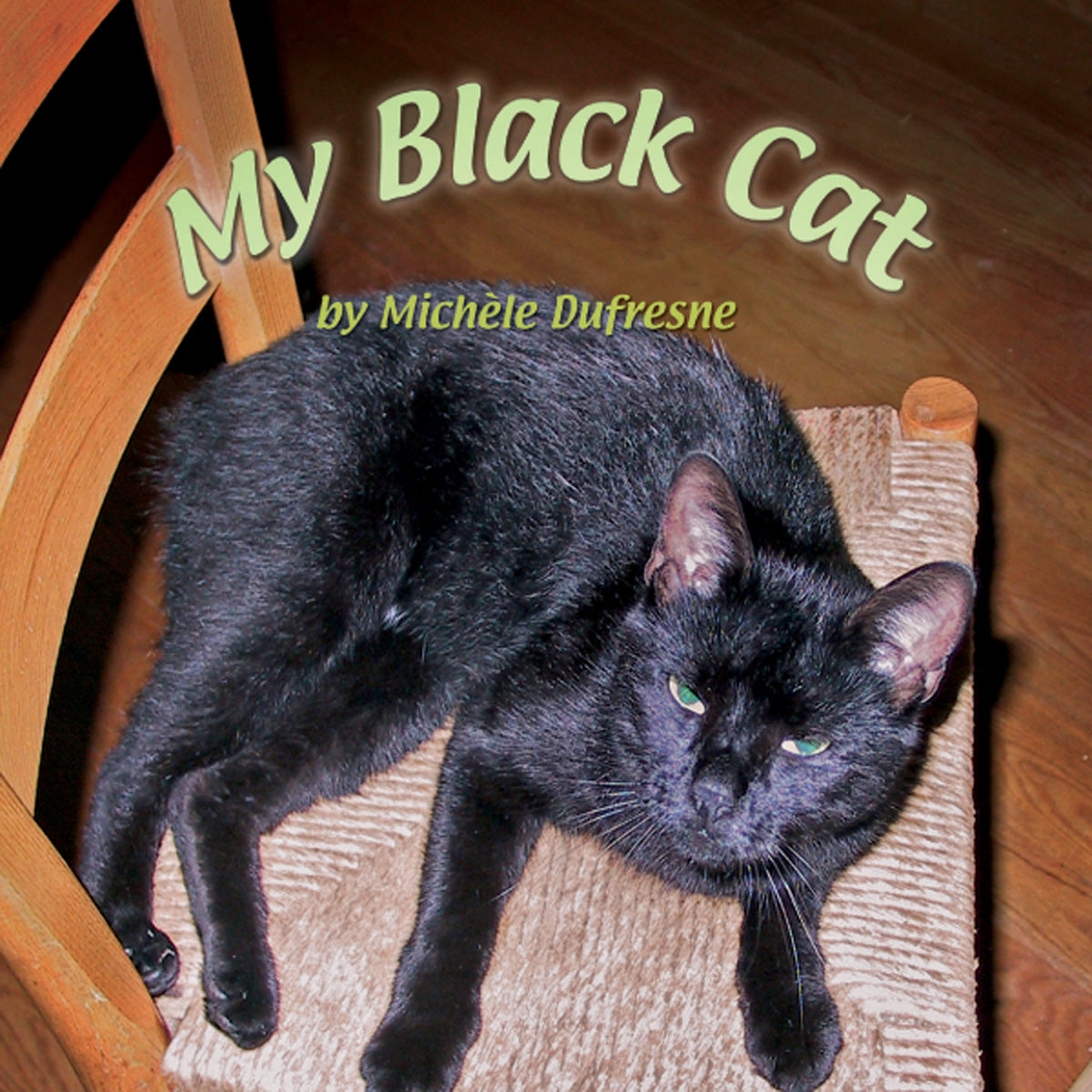 【しゅう】DMS Black Cat EPS 5‘8 My Black Cat – Pioneer Valley Books