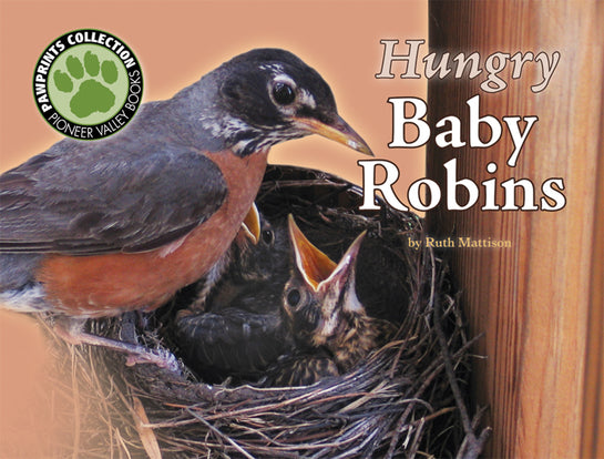 Hungry Baby Robins