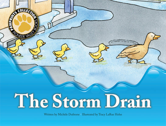 The Storm Drain