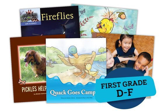 Single Book Bundle for First Grade, Set 2, Levels D-F