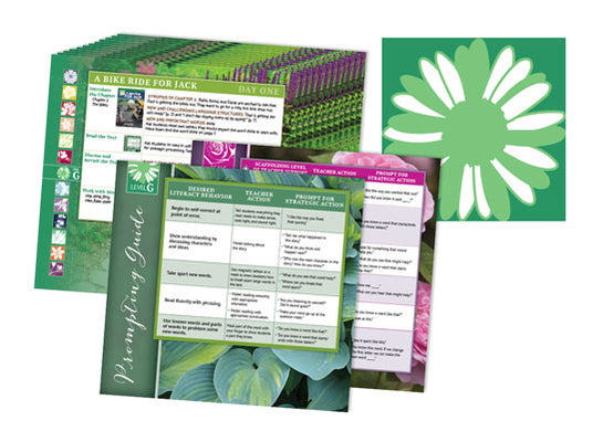 Garden Collection Lesson Cards Level G