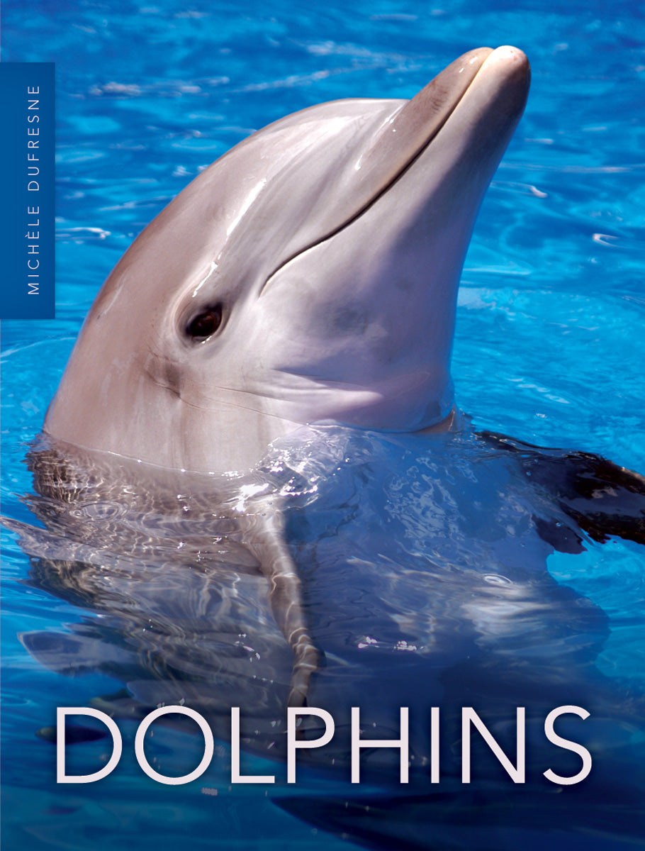 Dolphins – Pioneer Valley Books