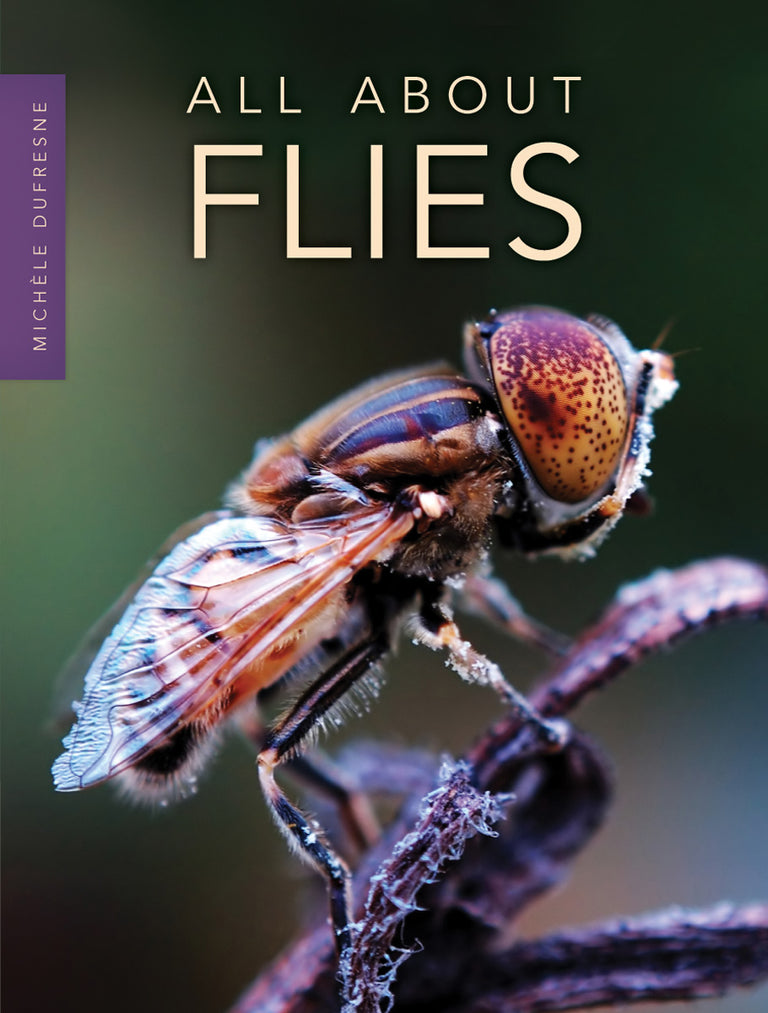 All About Flies – Pioneer Valley Books