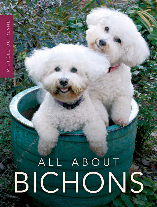 All About Bichons