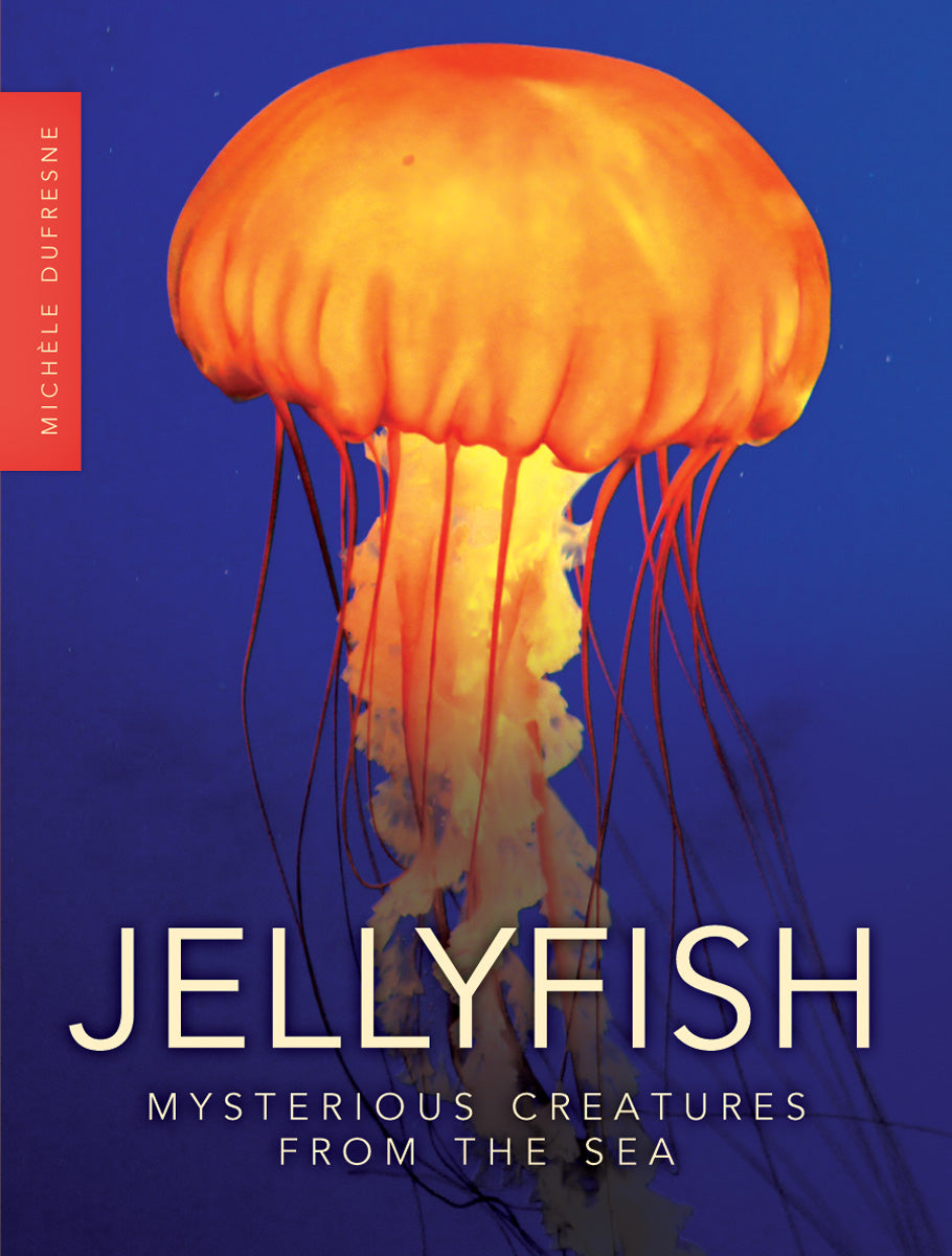 Jellyfish: Mysterious Creatures from the Sea – Pioneer Valley Books